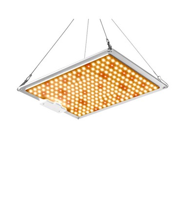 Lampe de croissance Samsung Quantum Board 105W - Spectre complet, variateur intégré, avec suspension, IP65