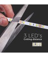 Ruban LED 5m 8W/m - 12V DC, 60 LED par mètre