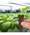 Éponges de tourbe pour culture hydroponique - 12 pcs, compatibles avec nos potagers hydroponiques