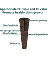 Éponges de tourbe pour culture hydroponique - 12 pcs, compatibles avec nos potagers hydroponiques
