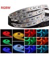 Kit RGB+WW : bande LED 5m, 60 LED, 10,8W, contrôleur et transformateur
