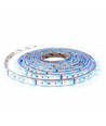 Kit RGB+WW : bande LED 5m, 60 LED, 10,8W, contrôleur et transformateur