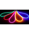 5m 8W par mètre Blanc froid 8x16 Neon Flex LED - 12V DC, IP67