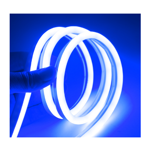 5m 8W/m Bleu 8x16 Neon Flex LED - 12V DC, IP67