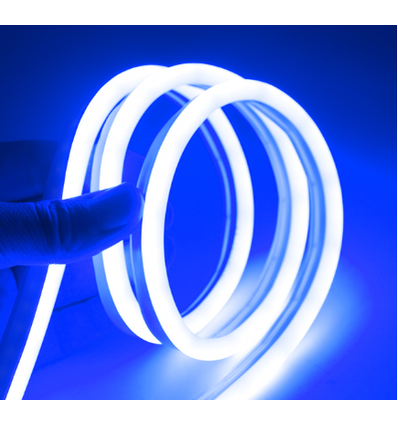 5m 8W/m Bleu 8x16 Neon Flex LED - 12V DC, IP67