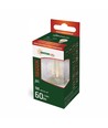 Ampoule LED E27 1W - G45, Filament carbone, blanc extra chaud, 1800K