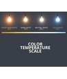 Ampoule LED E27 6W - G45, filament, blanc extra chaud, 1800K