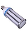 Ampoule LED E40 36W dimmable MEGA36 - IP64 étanche, verre dépoli, blanc chaud