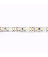 Ruban LED 5m 4,2W/m résistant aux éclaboussures - 12V DC, IP65, 60 LED par mètre