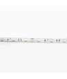 Ruban LED 5m 4,8W/m résistant aux éclaboussures - IP65, 30 LED par mètre