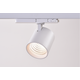 Spot sur rail triphasé 30W dimmable RA90 - 170lm/w, blanc, CASAMBI