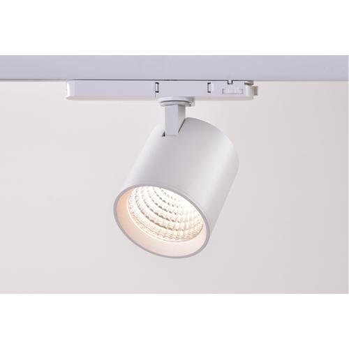 Spot sur rail triphasé 30W dimmable RA90 - 170lm/w, blanc, CASAMBI