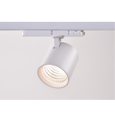 Spot sur rail triphasé 30W dimmable RA90 - 170lm/w, blanc, CASAMBI