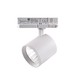 Spot sur rail triphasé 30W dimmable RA90 - 175 lm/W, 38 degrés, blanc