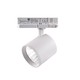 Spot sur rail triphasé 30W - Pour la viande