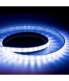 Ruban LED RGB 5m 22W/m - 24V DC, IP68, Wall washer, 48 LED par mètre