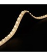 LEDlife bande LED 22W/m - 5m, Wall washer IP68, 24V, 48 LED par mètre
