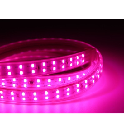 Bande LED de croissance étanche 5 m - 230V, IP67, 180 LED, 10W par mètre