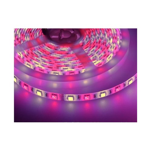 Ruban LED 5m 10,8W/m RGB+WW - 60 LED par mètre