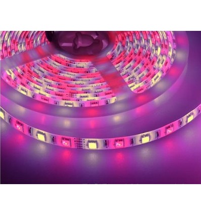 Ruban LED 5m 10,8W/m RGB+WW - 60 LED par mètre
