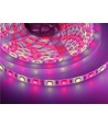 Ruban LED 5m 10,8W/m RGB+WW - 60 LED par mètre