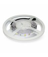 Ruban LED 5m 4,8W/m - IP20, 30 LED par mètre