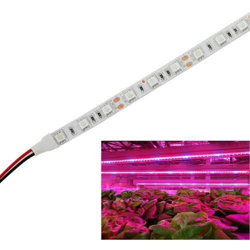 Bande LED de croissance étanche IP65 9,6W/m - 5m, 60 LED par mètre