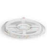 Ruban LED 5m 4,2W/m - 12V DC, 60 LED par mètre