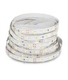 Ruban LED 5m 4,2W/m - 12V DC, 60 LED par mètre