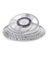 Ruban LED 5m 4,8W/m - IP20, 30 LED par mètre