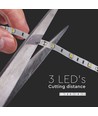 Ruban LED 5m 4,8W/m - IP20, 30 LED par mètre