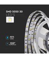Ruban LED 5m 4,8W/m - IP20, 30 LED par mètre