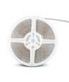 Ruban LED 5m 4,2W/m résistant aux éclaboussures - 12V DC, IP65, 60 LED par mètre
