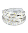 Ruban LED RGB 5m 4,8W/m résistant aux éclaboussures - 12V DC, IP65, 30 LED par mètre