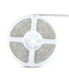 Ruban LED RGB 5m 4,8W/m résistant aux éclaboussures - 12V DC, IP65, 30 LED par mètre