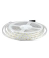 Ruban LED 5m 9W/m résistant aux éclaboussures - 24V DC, IP65, 60 LED par mètre