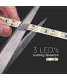 Ruban LED 5m 8W/m - 12V DC, 120 LED par mètre, 8mm de large