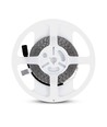 Ruban LED 5m 8W/m - 12V DC, 120 LED par mètre, 8mm de large