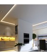 Ruban LED 5m 20W/m RA95 - 12V DC, IP20, lumens élevés, 120 LED par mètre