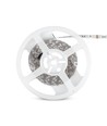 Ruban LED RGB 5m 7W/m - 12V DC, IP20, 60 LED par mètre