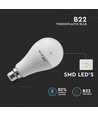 Ampoule LED B22 15W - A65, ampoule puissante