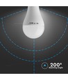 Ampoule LED B22 15W - A65, ampoule puissante