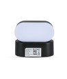 Applique murale LED 6W - IP65 extérieur, ovale, rotative à 350 degrés, noir, source lumineuse incluse