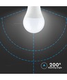 Ampoule LED B22 9W