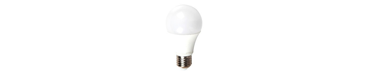 Ampoules LED E27