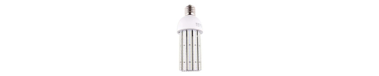 Ampoules Spéciales