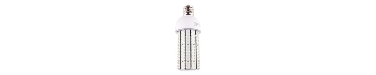 Ampoules LED E40