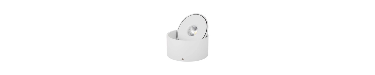 Spots en Saillie Orientables