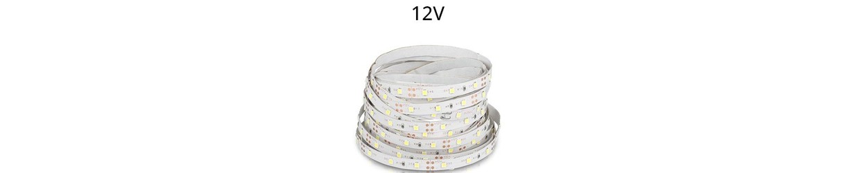 Rubans LED Monocouleur 12V