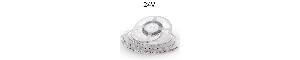Rubans LED Monocouleur 24V